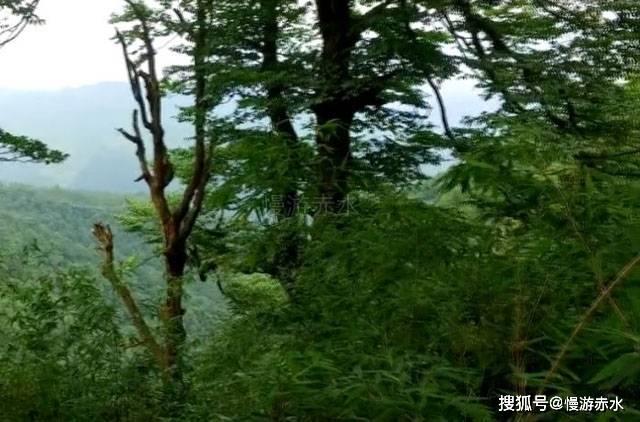 小猪佩奇冰淇淋店